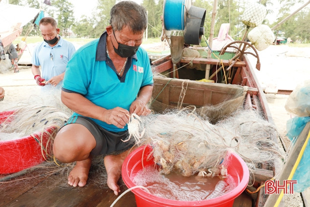 Ngư dân Xuân Yên đánh bắt được nhiều loại hải sản có giá trị