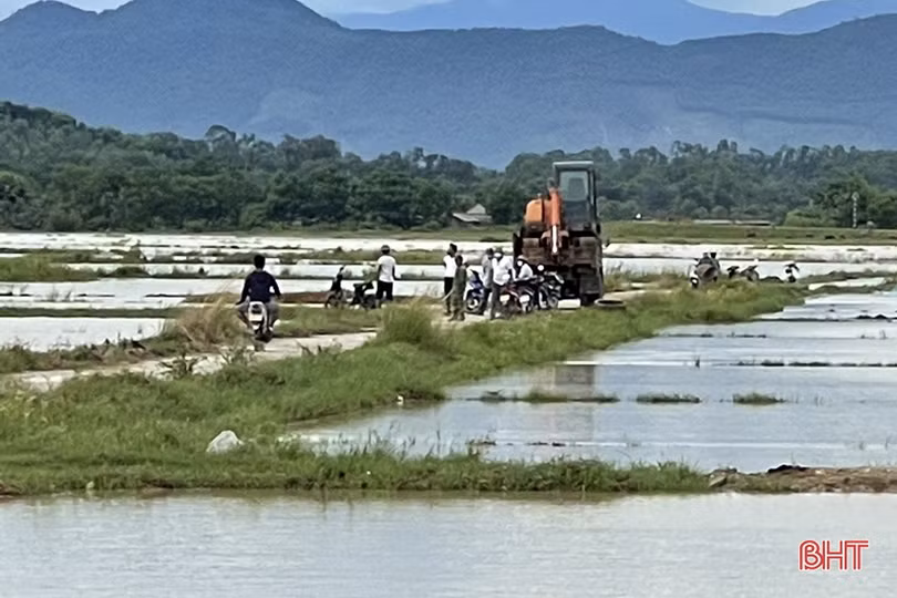 Hà Tĩnh: Mưa lớn gây ngập úng hơn 12.630 ha diện tích hoa màu và lúa hè thu