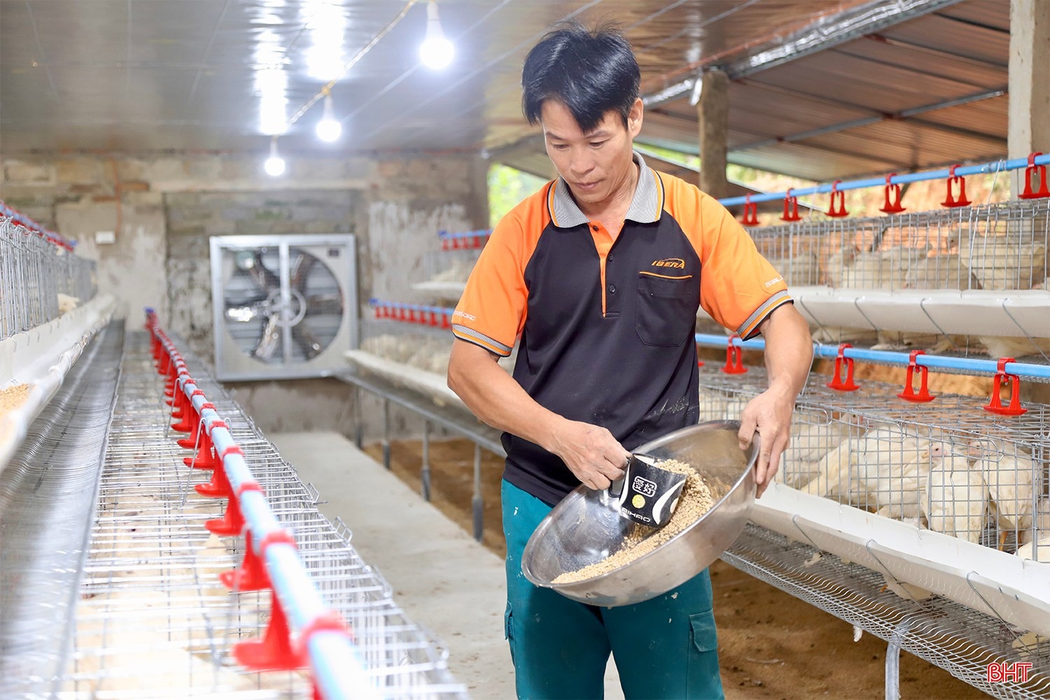 Quy trình chăn nuôi luôn được ông Bình thực hiện nghiêm ngặt.