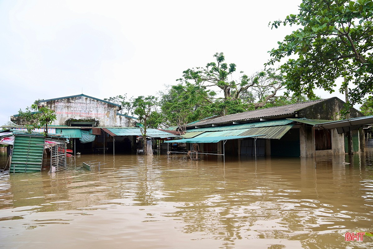 Chợ Vực là khu chợ truyền thống đóng tại thôn Trần Phú, xã Cẩm Duệ - nơi giao thương của hàng nghìn hộ dân địa phương và các vùng lân cận. Mưa lớn nhiều ngày qua kết hợp nước lũ từ thượng nguồn hồ Kẻ Gỗ đổ về khiến 100 ki ốt tại đây bị ngập sâu, có thời điểm nước dâng hơn 3m.