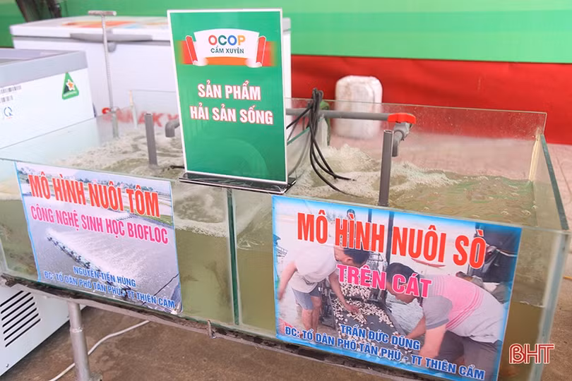 Trưng bày sản phẩm nông nghiệp tiêu biểu chào mừng Đại hội Đại biểu Đảng bộ huyện Cẩm Xuyên