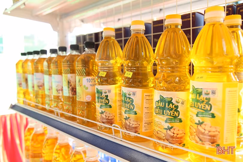 Trưng bày sản phẩm nông nghiệp tiêu biểu chào mừng Đại hội Đại biểu Đảng bộ huyện Cẩm Xuyên