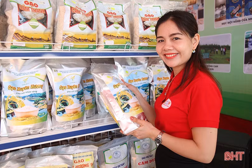 Trưng bày sản phẩm nông nghiệp tiêu biểu chào mừng Đại hội Đại biểu Đảng bộ huyện Cẩm Xuyên