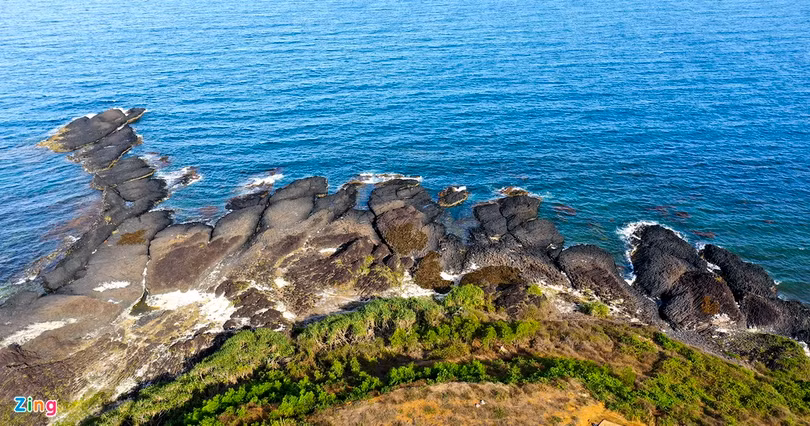 “Rừng san hô” lộ thiên độc đáo bên bờ biển miền Trung