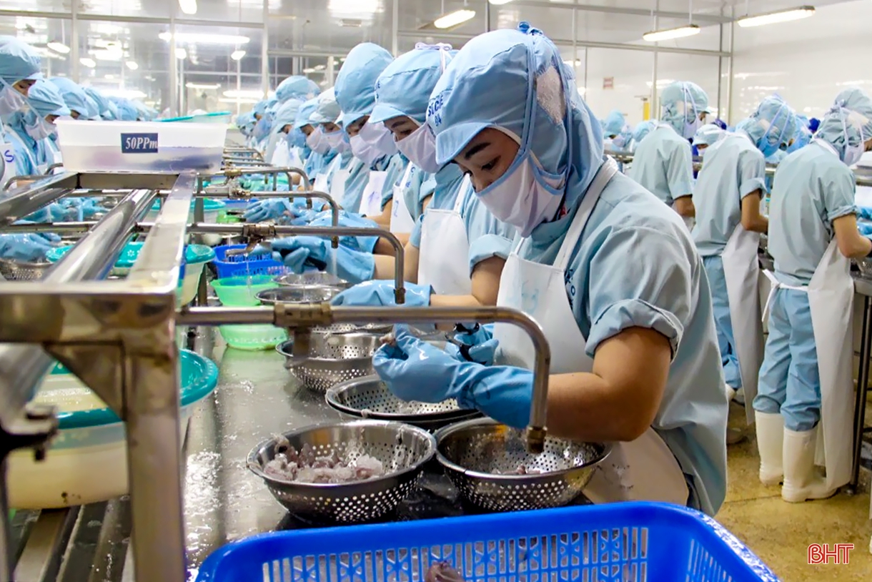 Kim ngạch xuất nhập khẩu Hà Tĩnh hướng đích 3,9 tỷ USD