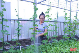 Lan tỏa lối sống xanh trong đô thị