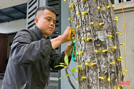 Thợ lắp đèn trang trí “chạy hết công suất”