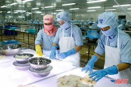 Lan tỏa phong trào thi đua “Lao động giỏi - Lao động sáng tạo”