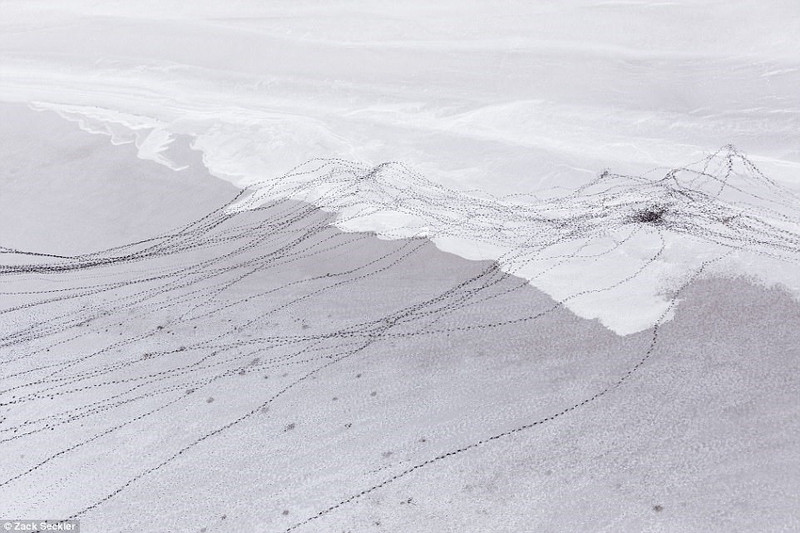 thien nhien hoang da nam phi dep dieu ky trong loat anh tu tren khong