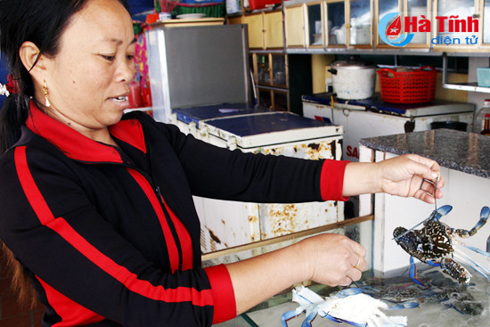 photo thien cam hoi ha don mua du lich bien 2017