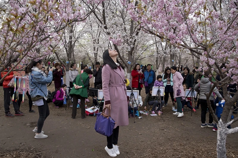 photo muon sac hoa anh dao khap noi tren the gioi