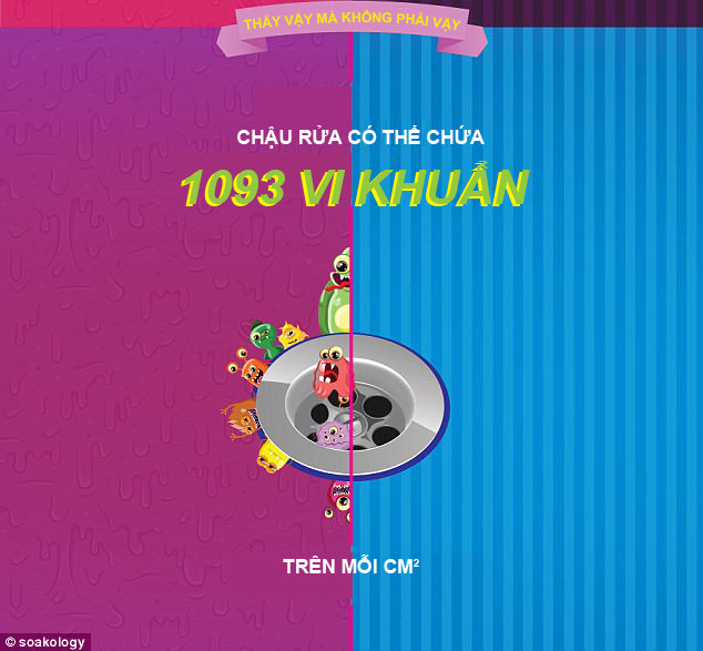 inforgraphics phong tam cua ban sach den muc nao