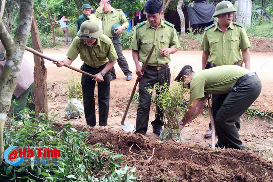 ho tro xa ky thuong 6 000 cay xay dung hang rao xanh