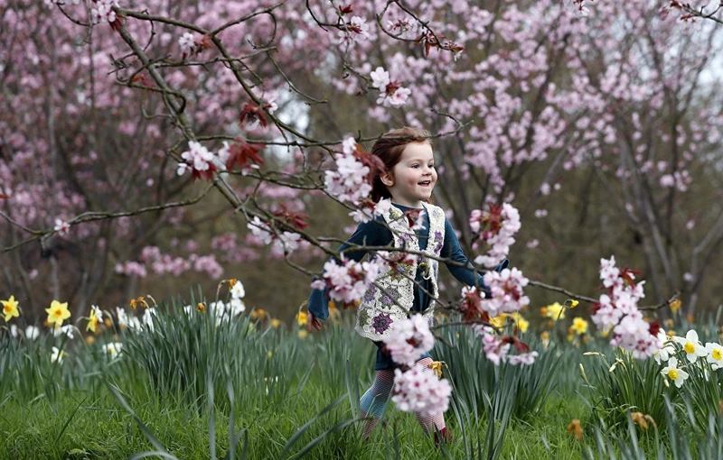 photo muon sac hoa anh dao khap noi tren the gioi
