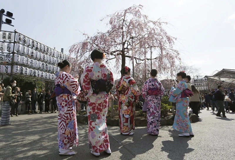 photo muon sac hoa anh dao khap noi tren the gioi