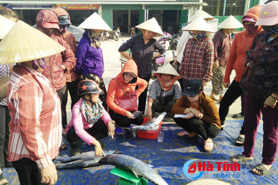 ngu dan ha tinh trung lon me ca thu troi