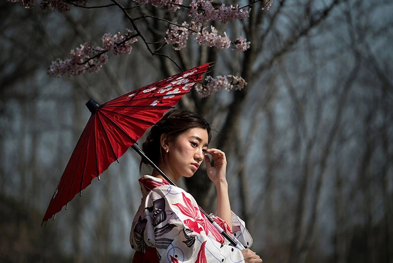 photo muon sac hoa anh dao khap noi tren the gioi