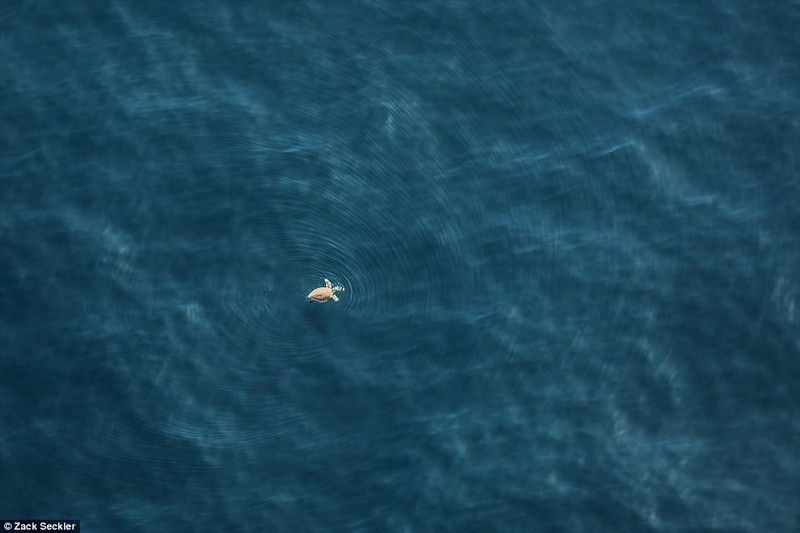 thien nhien hoang da nam phi dep dieu ky trong loat anh tu tren khong