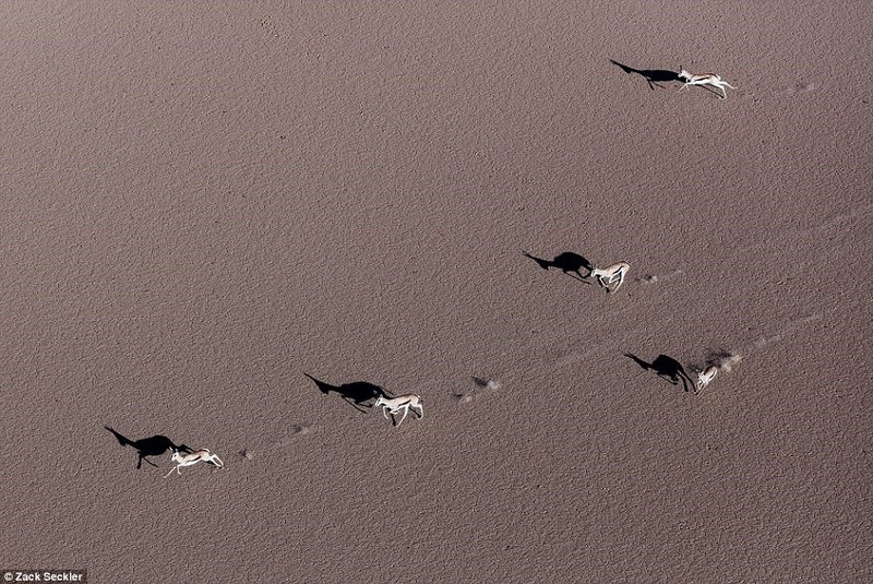 thien nhien hoang da nam phi dep dieu ky trong loat anh tu tren khong