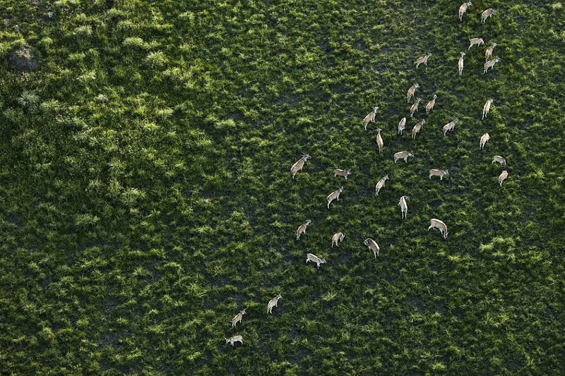 thien nhien hoang da nam phi dep dieu ky trong loat anh tu tren khong