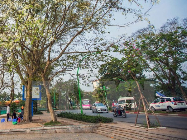 Bắc Bộ đầu tháng trời tiếp tục mát, trên biển đề phòng lốc xoáy ảnh 1 bac bo dau thang troi tiep tuc mat tren bien de phong loc xoay