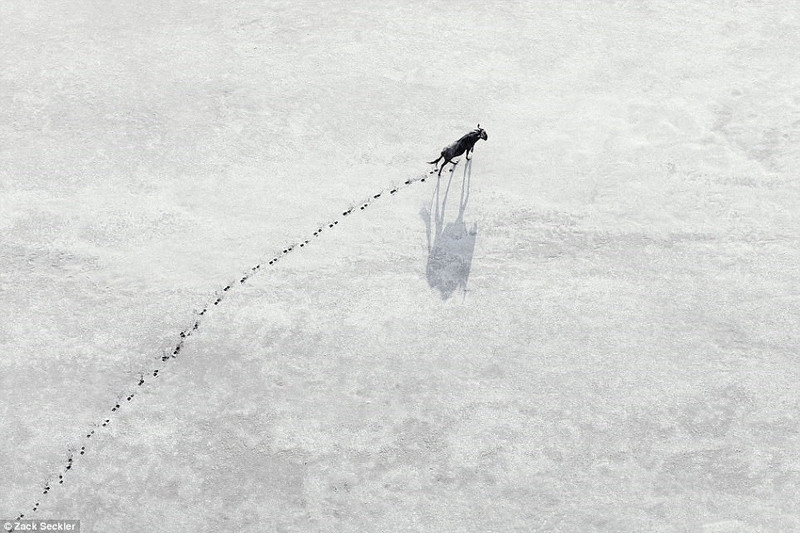 thien nhien hoang da nam phi dep dieu ky trong loat anh tu tren khong