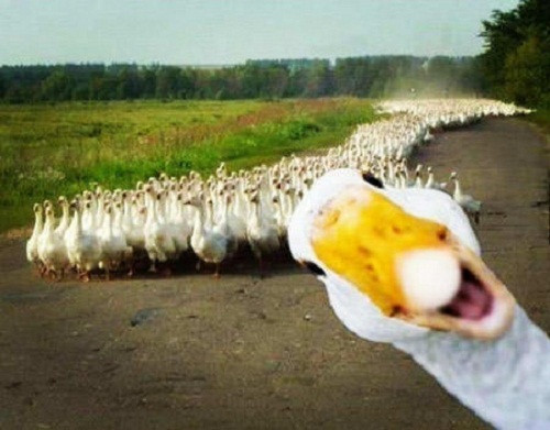 10 anh hai hot nhat facebook trong ngay