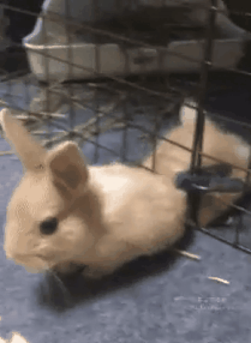 10 anh hai hot nhat facebook trong ngay