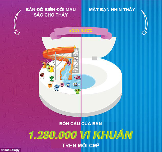 inforgraphics phong tam cua ban sach den muc nao