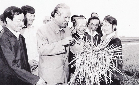 nguoi ve nuoc mat dong xanh