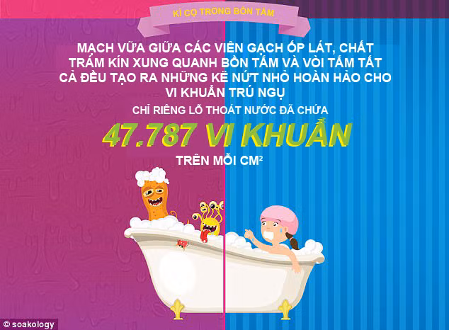 inforgraphics phong tam cua ban sach den muc nao
