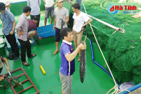 ngu dan ha tinh trung lon me ca thu troi