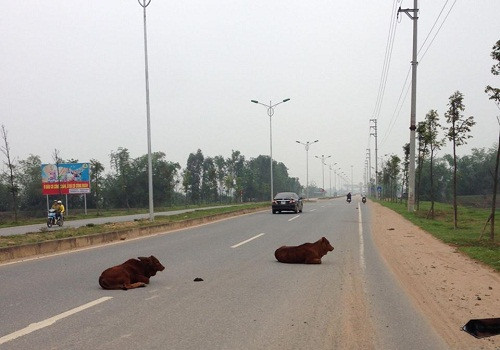 10 anh hai hot nhat facebook trong ngay