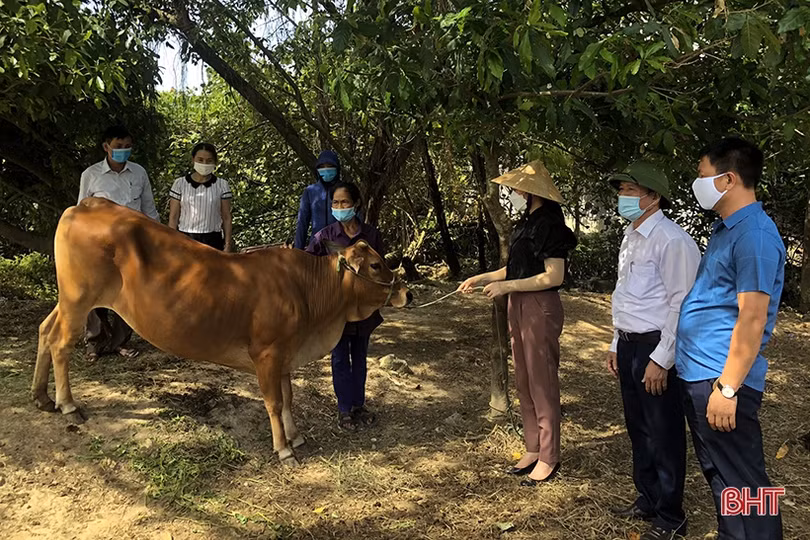 Nhiều công trình, phần việc ý nghĩa hướng tới đại hội phụ nữ các cấp ở Hà Tĩnh