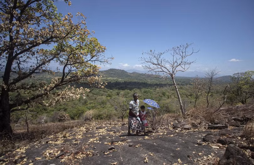 Trẻ em Sri Lanka leo núi, trèo cây “bắt sóng” wifi học trực tuyến