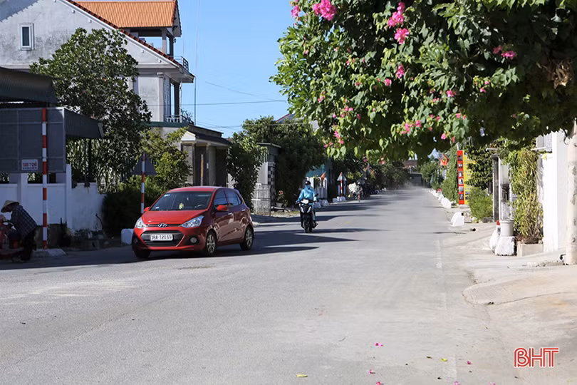 Mát mắt với hàng rào xanh trong nắng hè trên những miền quê nông thôn mới Hà Tĩnh