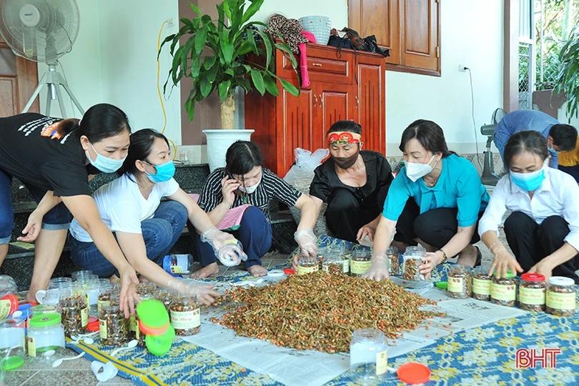 Nông dân Hà Tĩnh nhanh tay làm thực phẩm gửi đồng bào miền Nam 