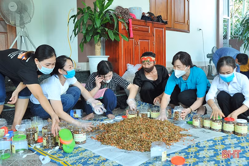 Nông dân Hà Tĩnh nhanh tay làm thực phẩm gửi đồng bào miền Nam 