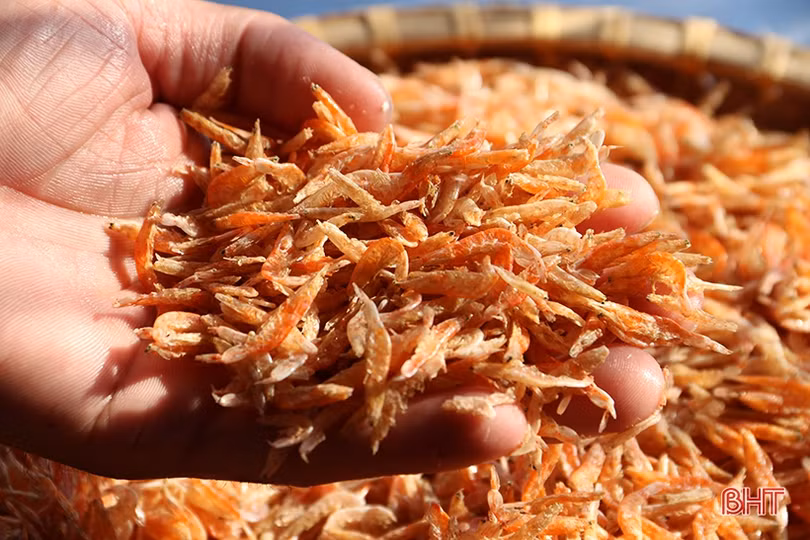 Các cơ sở chế biến ở thị xã Kỳ Anh “dốc vốn” đầu tư sản phẩm OCOP