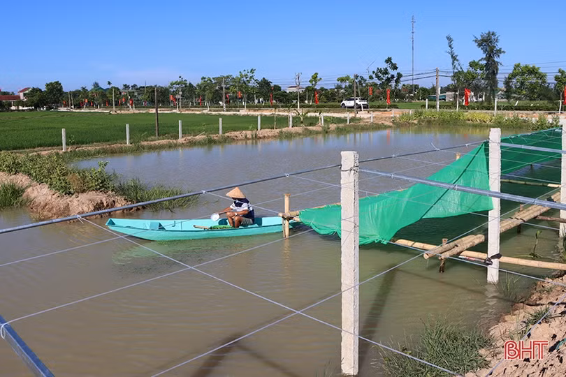 Nông dân xứ Cẩm “biến” ruộng xấu thành mô hình 4 tầng nấc, hứa hẹn hiệu quả cao