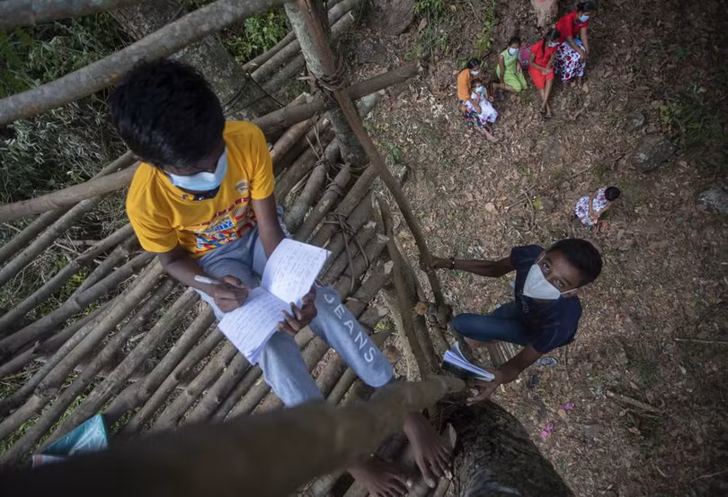 Trẻ em Sri Lanka leo núi, trèo cây “bắt sóng” wifi học trực tuyến