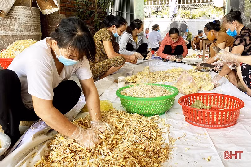 Nông dân Hà Tĩnh nhanh tay làm thực phẩm gửi đồng bào miền Nam 