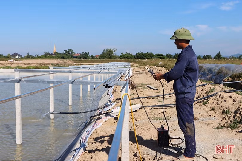 Nông dân xứ Cẩm “biến” ruộng xấu thành mô hình 4 tầng nấc, hứa hẹn hiệu quả cao