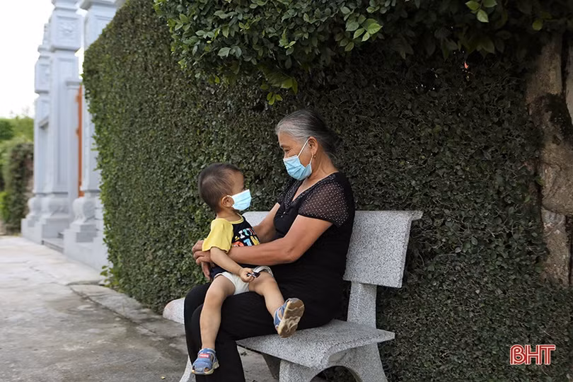 Mát mắt với hàng rào xanh trong nắng hè trên những miền quê nông thôn mới Hà Tĩnh