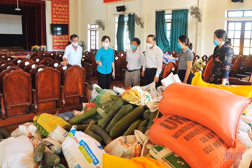 Nông dân Hà Tĩnh nhanh tay làm thực phẩm gửi đồng bào miền Nam 