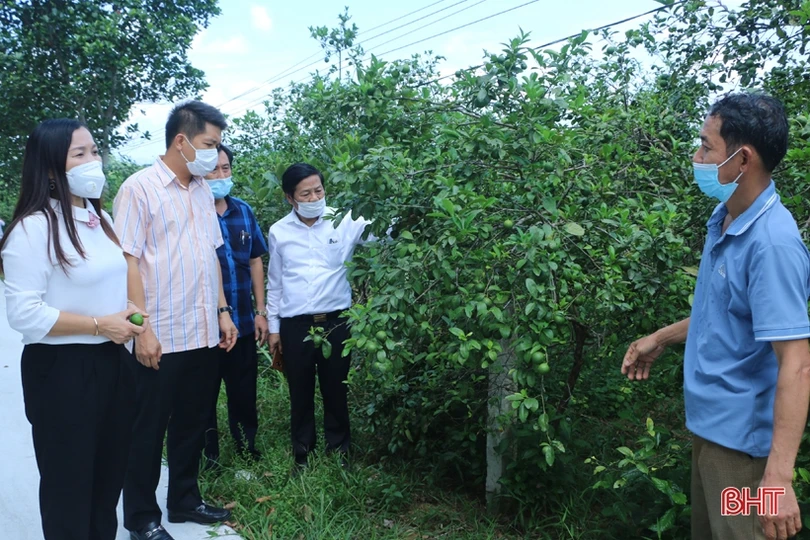 Chủ tịch Ủy ban MTTQ tỉnh tặng quà gia đình chính sách, người có công ở Vũ Quang