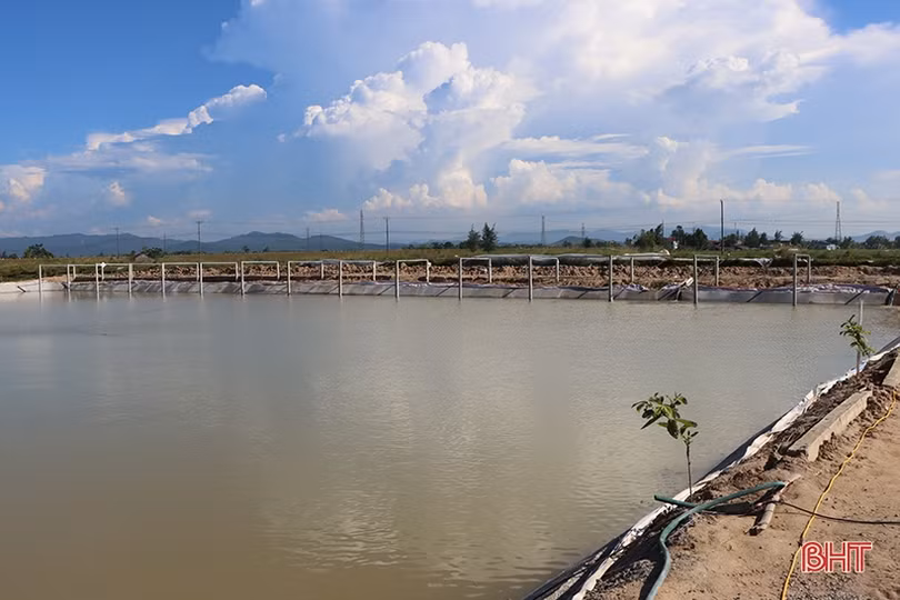 Nông dân xứ Cẩm “biến” ruộng xấu thành mô hình 4 tầng nấc, hứa hẹn hiệu quả cao