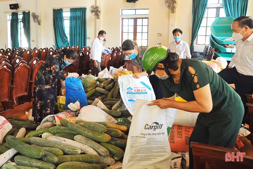 Nông dân Hà Tĩnh nhanh tay làm thực phẩm gửi đồng bào miền Nam 