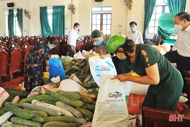 Nông dân Hà Tĩnh nhanh tay làm thực phẩm gửi đồng bào miền Nam 