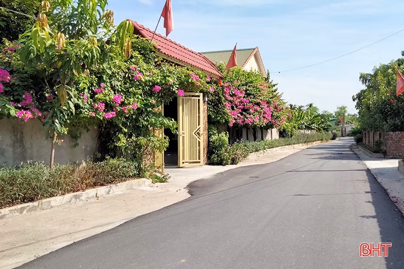 Mát mắt với hàng rào xanh trong nắng hè trên những miền quê nông thôn mới Hà Tĩnh